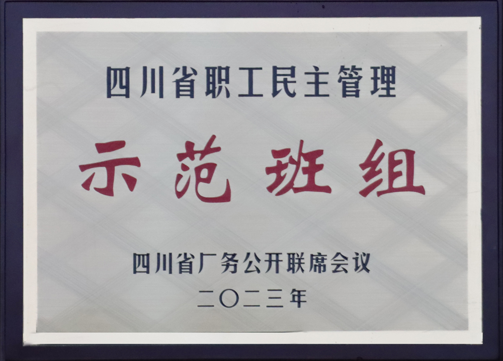 集團(tuán)電氣維保車(chē)間一班獲評(píng)省職工民主管理示范班組